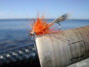 Joergen's Demon Joergen's Demon