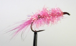 Glitter Shrimp Glitter Shrimp