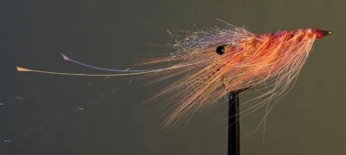 The Pink Pig The Pink Pig