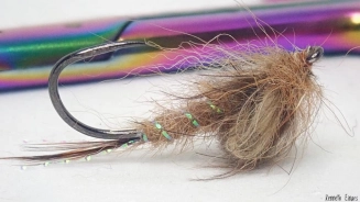 Vulgata emerger Vulgata emerger