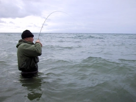 Another one Another one