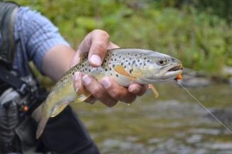 Soon she will be released Soon she will be released