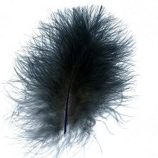 A single marabou feather A single marabou feather