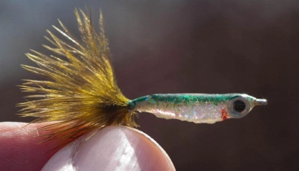 Allround light Allround light