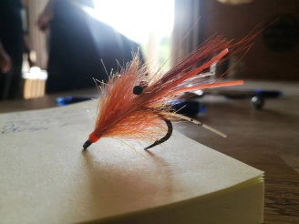 Sam-I-Am is quite translucent Sam-I-Am is quite translucent