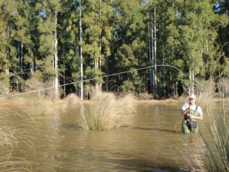 Drilling in the reeds Drilling in the reeds