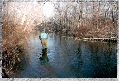 Jan Siman fishes Jan Siman fishes