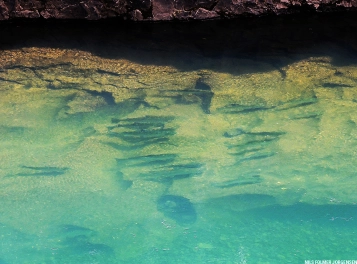 Clear water Clear water