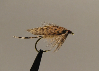 March Brown female March Brown female