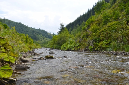 The grasshopper valley The grasshopper valley