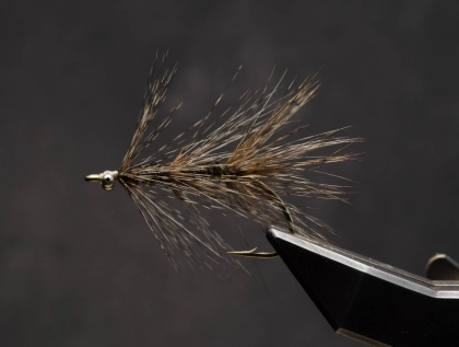 Even the tail is a hackle Even the tail is a hackle