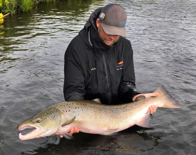 Large lightly colored male Large lightly colored male