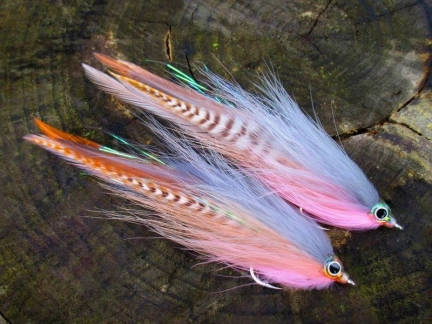 Pink Semper/Deceiver Pink Semper/Deceiver