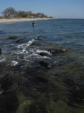 A good place to dip a fly A good place to dip a fly