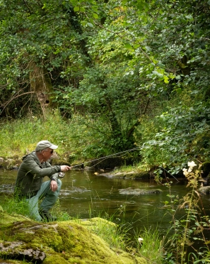 Twitching a Sillikix Twitching a Sillikix