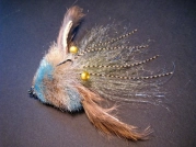 A blueish crab A blueish crab