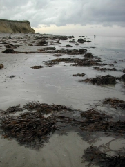 Low winter water Low winter water