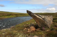 Nice settings Nice settings