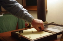 Selecting one of the remaining flies Selecting one of the remaining flies