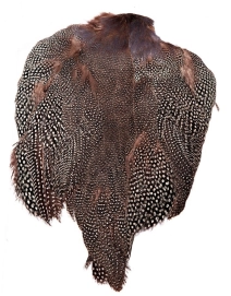 Guinea fowl Guinea fowl