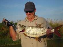 Tigerfish can bring about smiles Tigerfish can bring about smiles