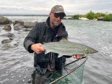 Small salmon Small salmon