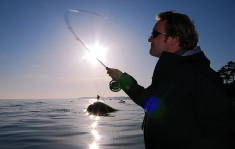 Rod of the sun Rod of the sun