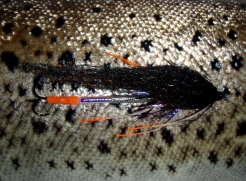 A lightly dressed version A lightly dressed version