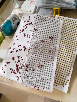 Not perfect, but inexpensive Not perfect, but inexpensive