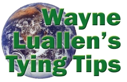 Wayne's World Wayne's World