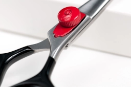 The red dot The red dot