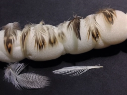 A wide selection A wide selection