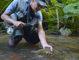 Fighting beauty Fighting beauty