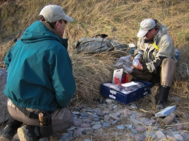 The lunchbox The lunchbox