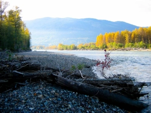 Fall Skeena Fall Skeena