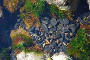 Black bottom heats up the water more rapidly Black bottom heats up the water more rapidly