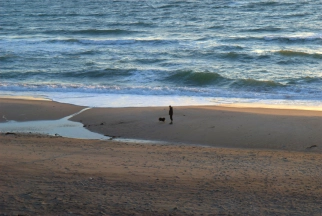 Outer coast Outer coast