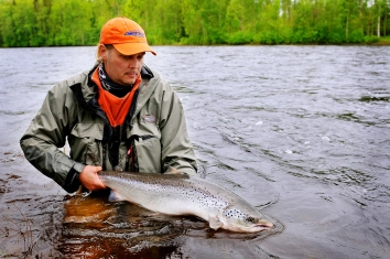 A 15 lbs salmon A 15 lbs salmon