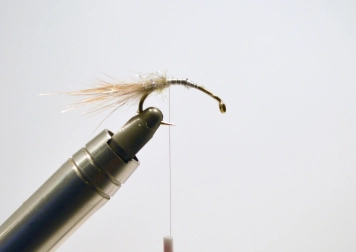 Must Shrimp - step 2 Must Shrimp - step 2