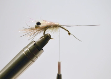 Must Shrimp - step 7 Must Shrimp - step 7