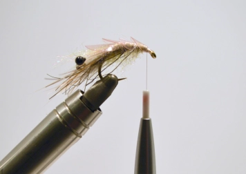 Must Shrimp - step 8 Must Shrimp - step 8