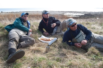 Great company Great company