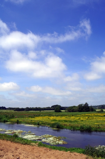 Mayfly weather Mayfly weather
