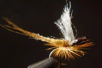 Step 5 - finished fly Step 5 - finished fly