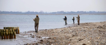 From the shore From the shore