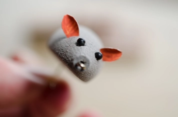 Cute flies Cute flies