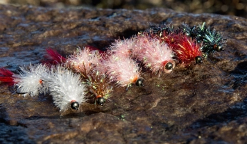 Ready for some worm action Ready for some worm action