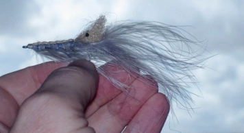 A shrimp...? A shrimp...?