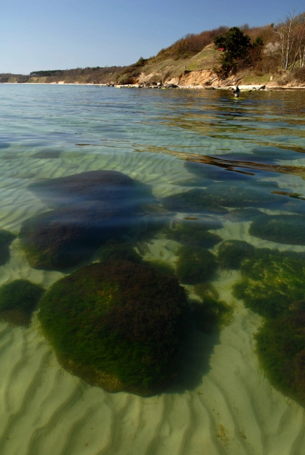 Clear water Clear water