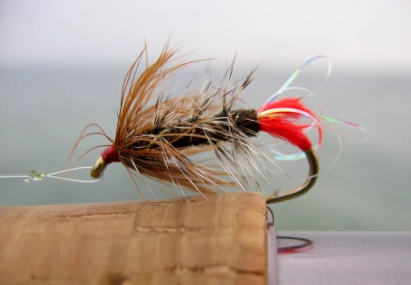 Front and body hackle Front and body hackle